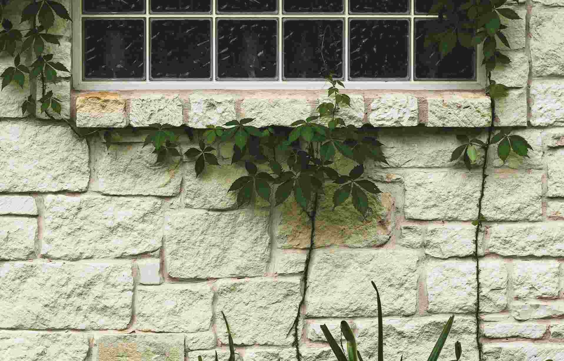 Collection of project images